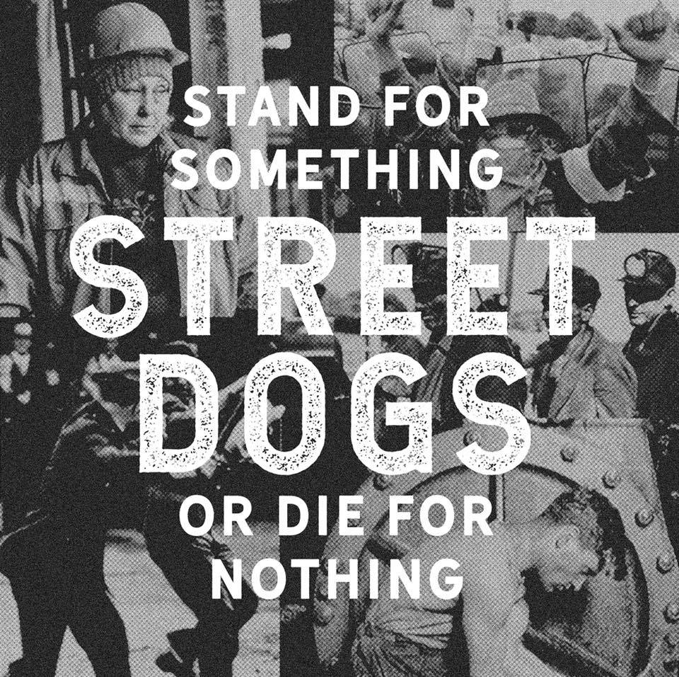 NEUES STREET DOGS ALBUM!